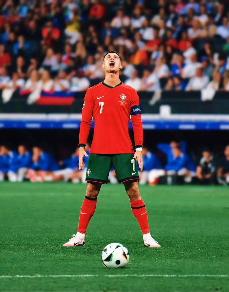 个体技术上 个体技术上